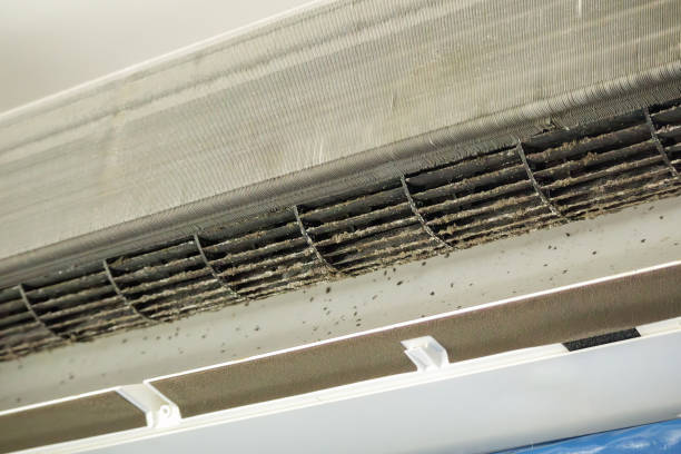 Best Ventilation Cleaning Services  in Demarest, NJ
